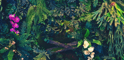 Tapete Jungle Nocturne  tropisches Dschungeldesign mit Blüten & Schattenwirkung  Design by Pimp My Wall