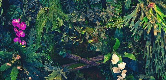 Tapete Jungle Nocturne  tropisches Dschungeldesign mit Blüten & Schattenwirkung  Design by Pimp My Wall