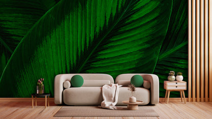 Tapete Dschungelblick  tropische Wandgestaltung  Wald-Illusion  Design by Pimp My Wall
