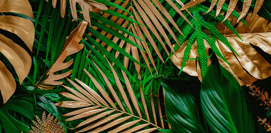 Tapete Jungle Glam  Gold trifft Tropen  luxuriöses Wanddesign  Dschungel trifft Eleganz  Design by Pimp My Wall