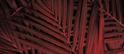 Tapete Crimson Weave  rote Palmenblätter  starke Struktur & Tiefe  tropisch & modern  Design by Pimp My Wall
