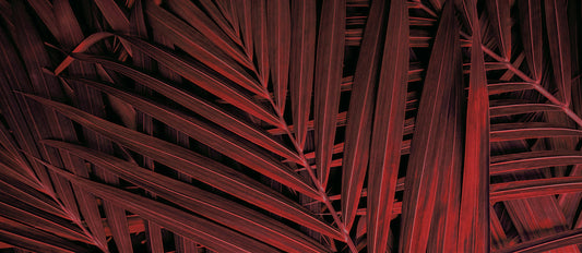 Tapete Crimson Weave  rote Palmenblätter  starke Struktur & Tiefe  tropisch & modern  Design by Pimp My Wall