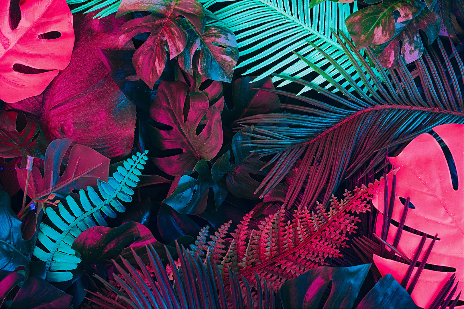 Tapete Electric Jungle  tropisch & knallig  mit Neon-Effekt in Magenta & Cyan  expressiv & künstlerisch  Design by Pimp My Wall