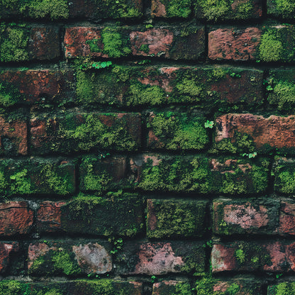Moosgrün Dunkelrot Brick