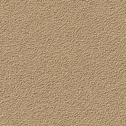 Feine Putzstruktur in Beige für moderne Räume  Dezente Körnung mit natürlichem Charakter  Selbstklebende & PVC-freie Tapete – made by PCC FoliaConcept!