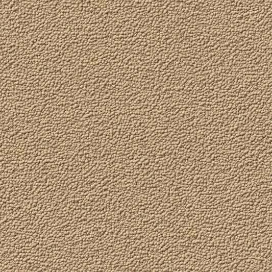 Feine Putzstruktur in Beige für moderne Räume  Dezente Körnung mit natürlichem Charakter  Selbstklebende & PVC-freie Tapete – made by PCC FoliaConcept!