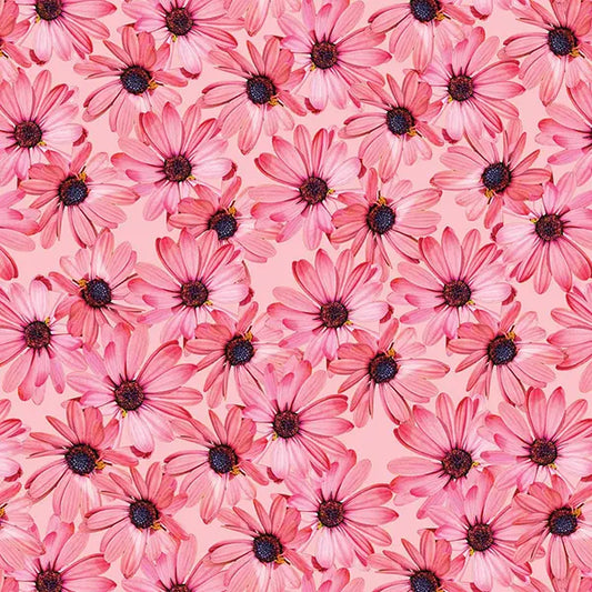 Floral Pink Bloom Bold
